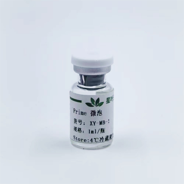 靶向微泡的应用—超声成像