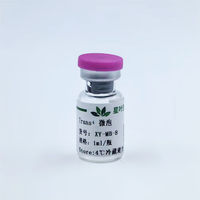 超声微泡造影剂递送核酸