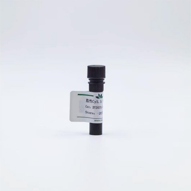 脂性Cy5.5-N-羟基琥珀酰亚胺酯