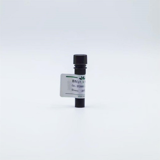 脂性Cy7.5-N-羟基琥珀酰亚胺酯
