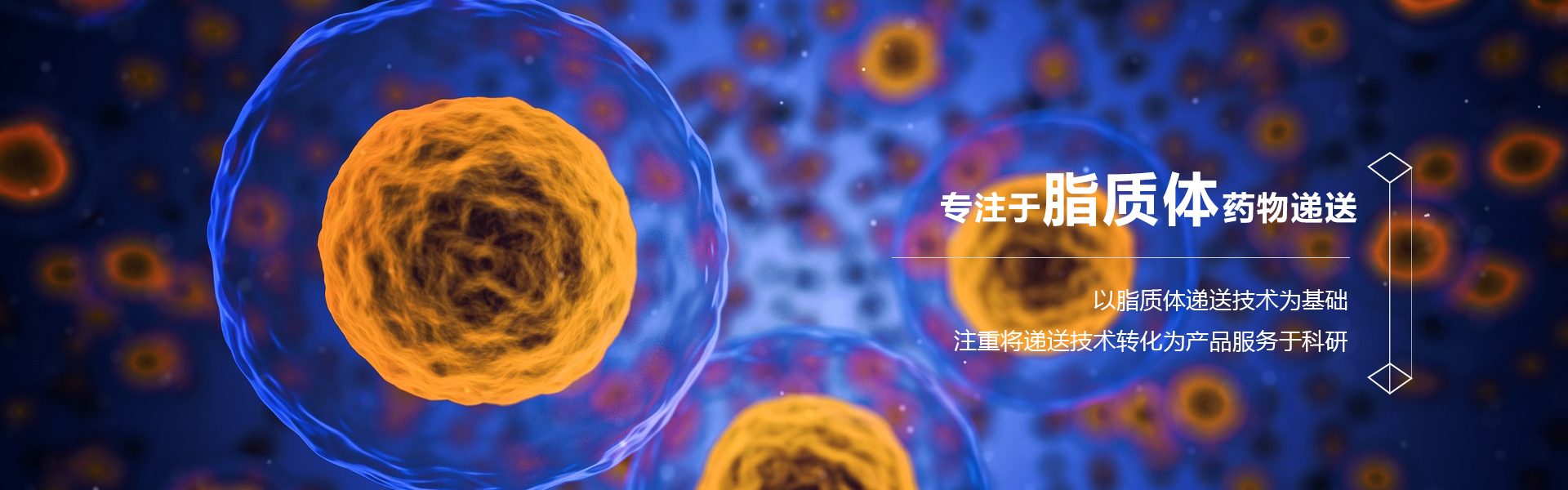 通栏图片